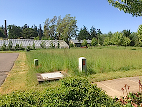 glasshouse view lot