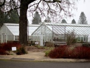 urban farming