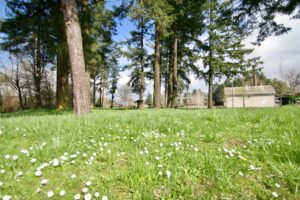 Healthful Environment