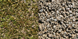 Pervious Pavement