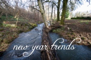 New Year Real Estate Trends