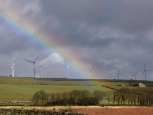 UK Greenest Year Ever