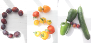 Eat Healthy Support Community